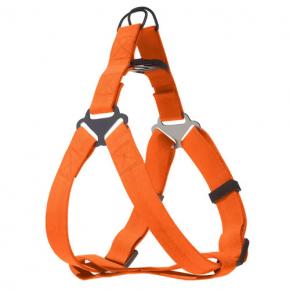 Pet harness